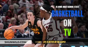 Iowa High School Basketball: TV Viewing Options