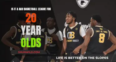 Unleash Your Skills: AAU Basketball League for 20-Somethings