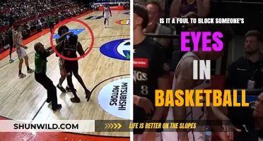 Blocking an Opponent's Vision: Foul or Fair Play?