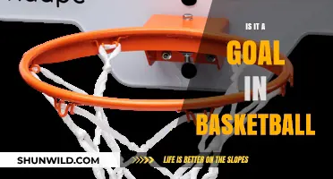 The Basket's Net: Is It a Goal?