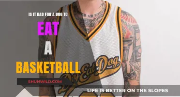 Can Dogs Eat Basketballs? A Dangerous Mix