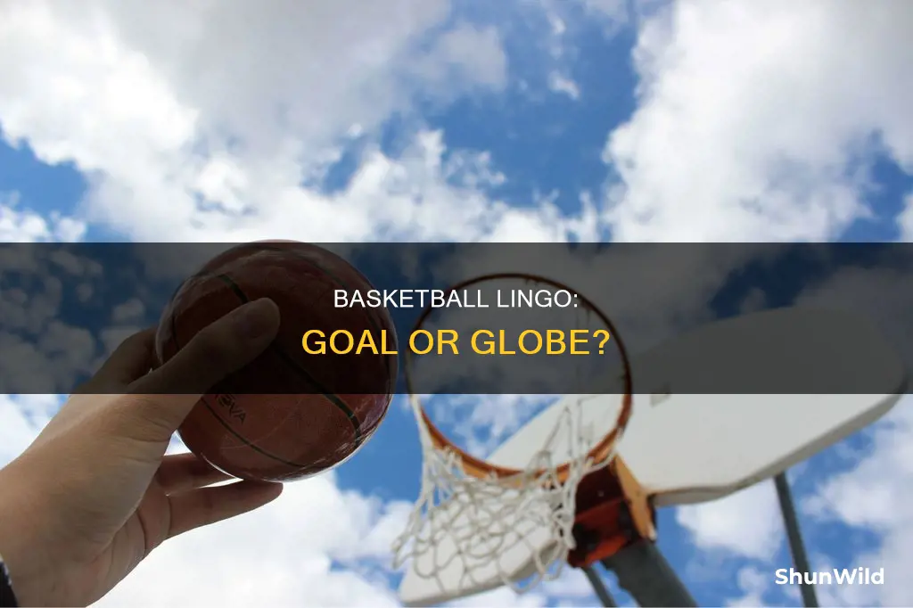 is it basketball goal or globe