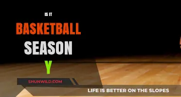 When Does the Basketball Season Start?