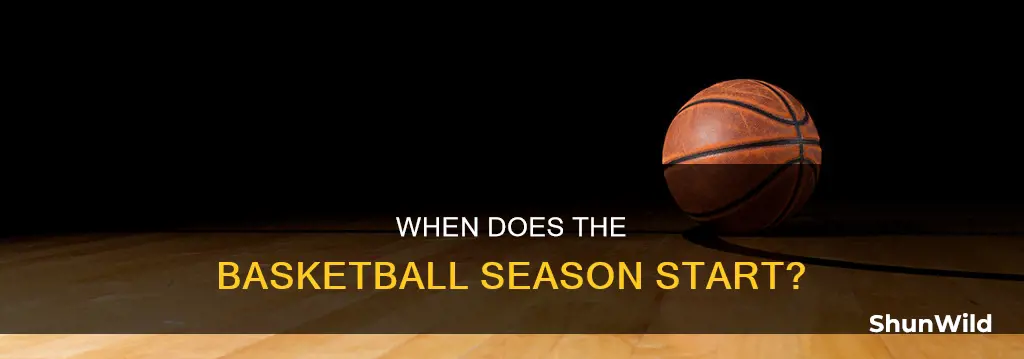 is it basketball season y