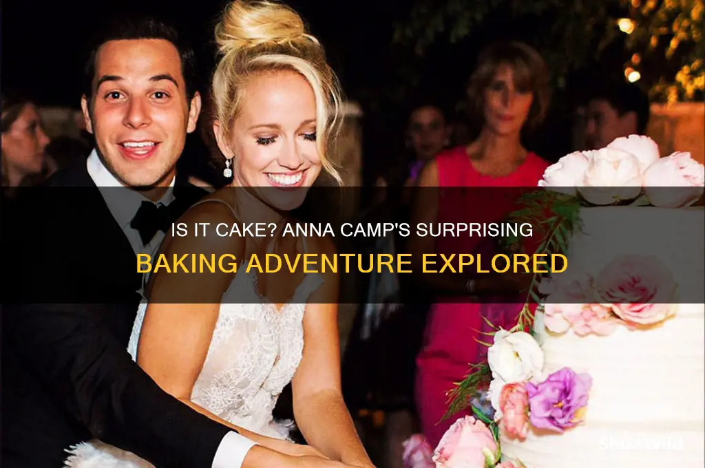 is it cake anna camp