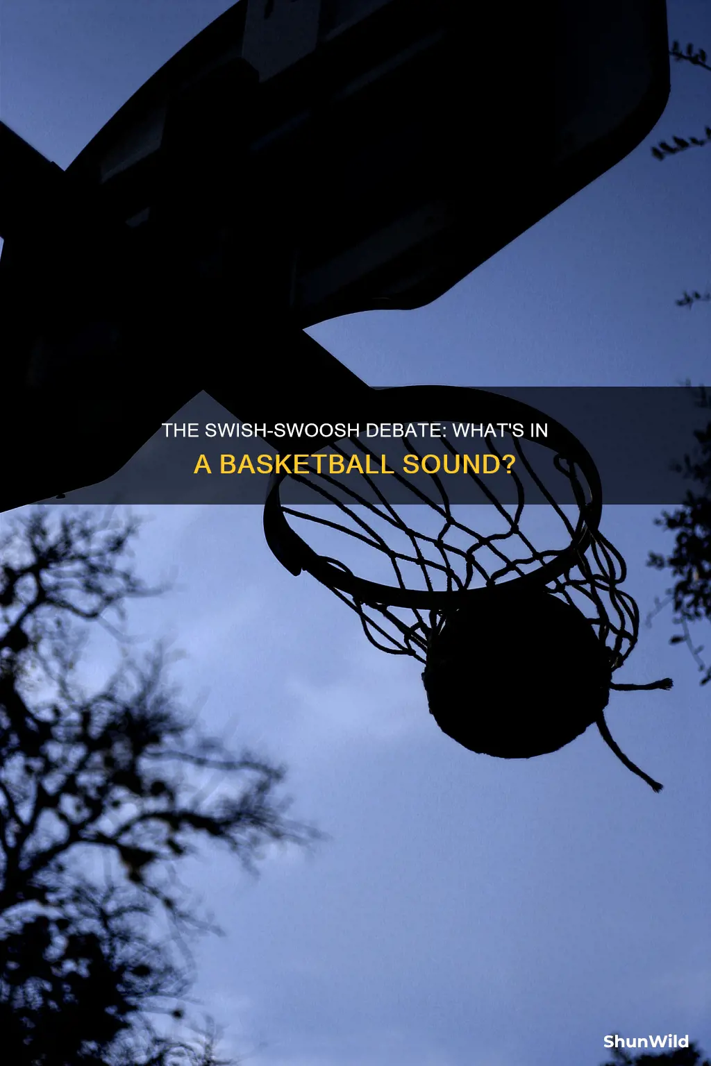 is it called swoosh or swish in basketball