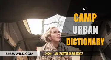 Exploring the Meaning of 'Camp' in Urban Dictionary: A Cultural Dive