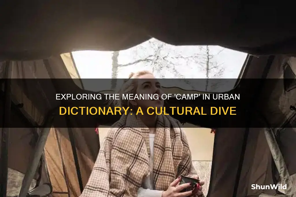 is it camp urban dictionary