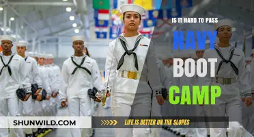 Navy Boot Camp Challenge: How Hard Is It to Pass?