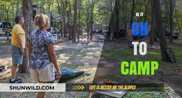 Is Camping Right for You? Tips and Considerations for Outdoor Adventures