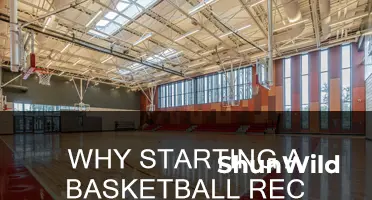 is it stupid to open a basketball rec center
