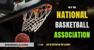 The NBA: A Basketball Powerhouse
