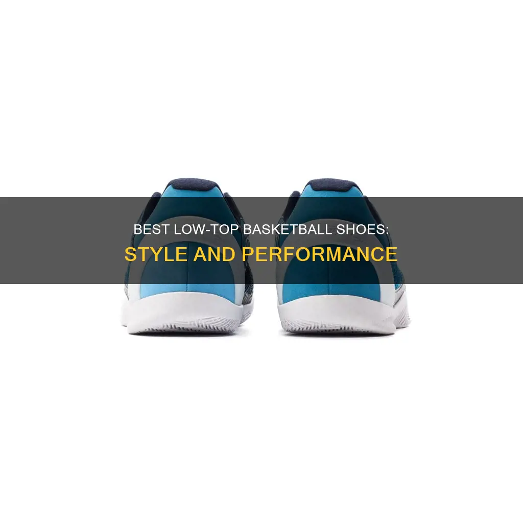 is it the shoes low top basketball