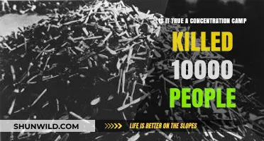 Uncovering the Truth: Did a Concentration Camp Claim 10,000 Lives?