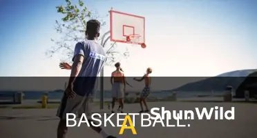 is it true that basketball is a cardiovascular workout