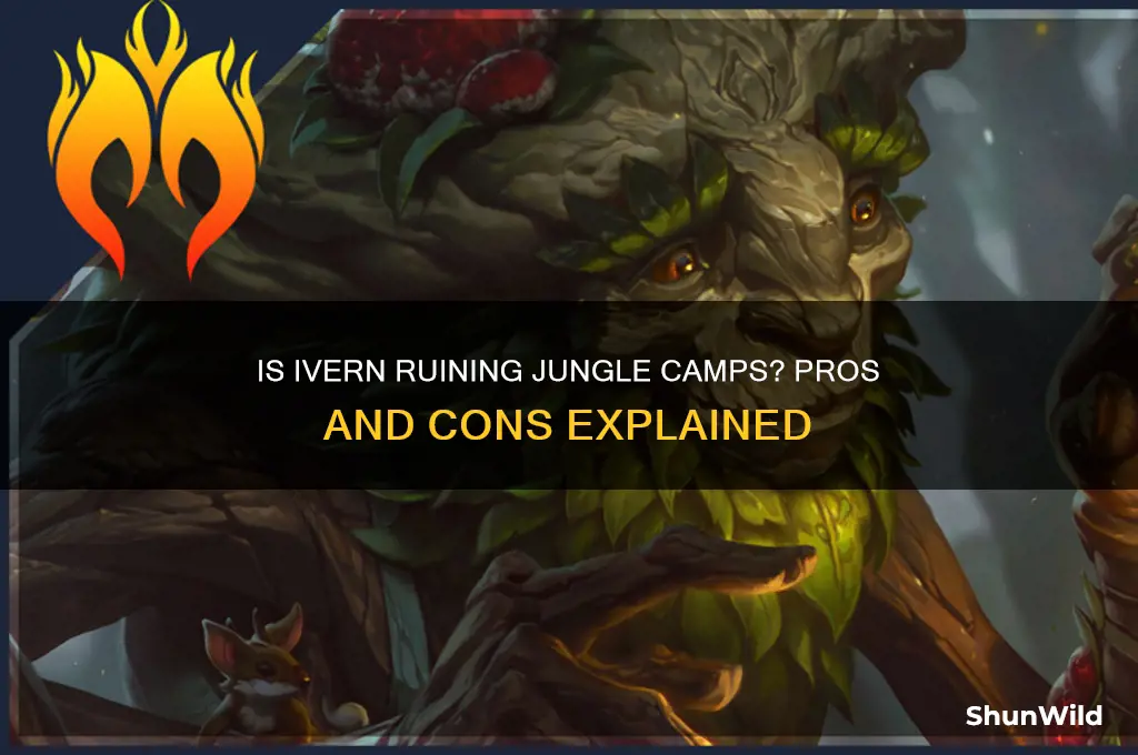 is ivern killing camps