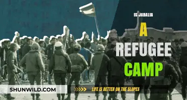 Is Jabalia a Refugee Camp? Unraveling the Truth and History
