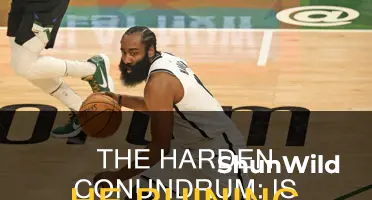 is james harden ruining basketball