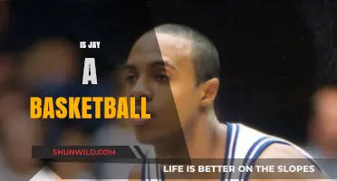 Jay: Basketball Star or Just a Fan?