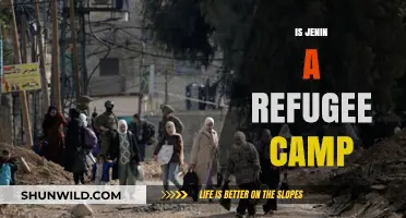 Is Jenin a Refugee Camp? Unraveling the Complex History and Status