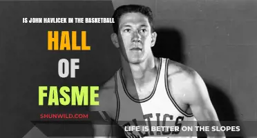 John Havlicek: Basketball Hall of Famer?
