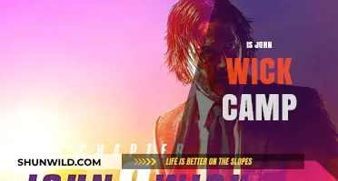 Is John Wick Camp? Analyzing the Stylized Action and Aesthetic