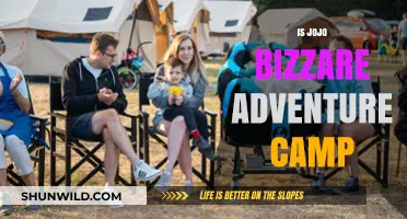 Exploring the Whimsical World of JoJo's Bizarre Adventure Camp