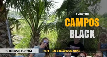 Is Jonathan Campos Black? Exploring Ethnicity and Identity