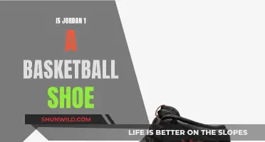 Jordan 1: A Basketball Shoe Icon?