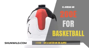 Air Jordan 200E: Basketball Shoe Innovation