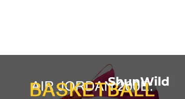 is jordan air 200e for basketball