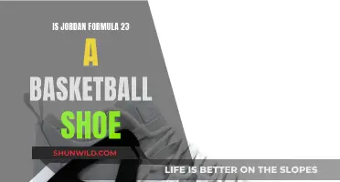 Jordan Formula 23: Basketball Shoe Innovation