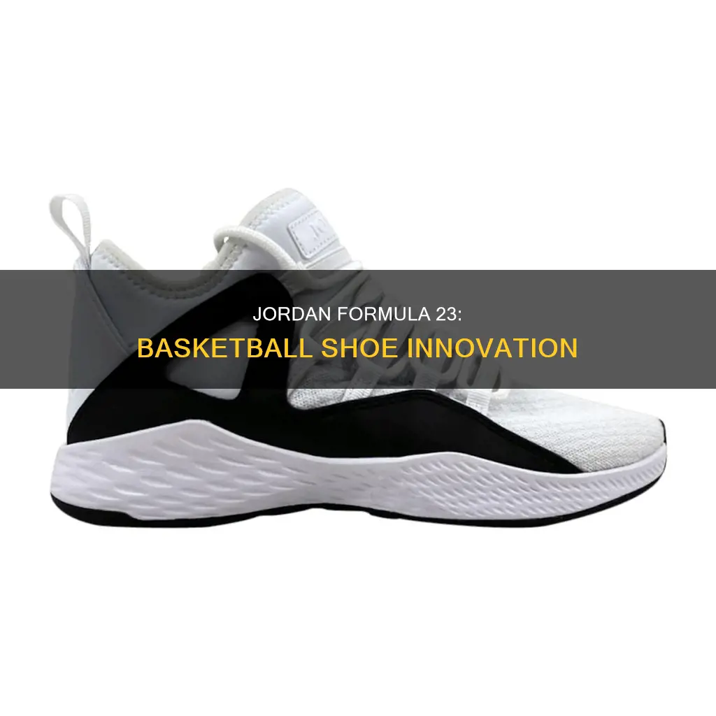 is jordan formula 23 a basketball shoe