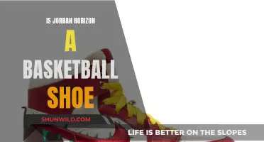 Jordan Horizon: Basketball Shoe or Not?