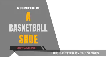 Jordan Point Lane: Basketball Shoe Review