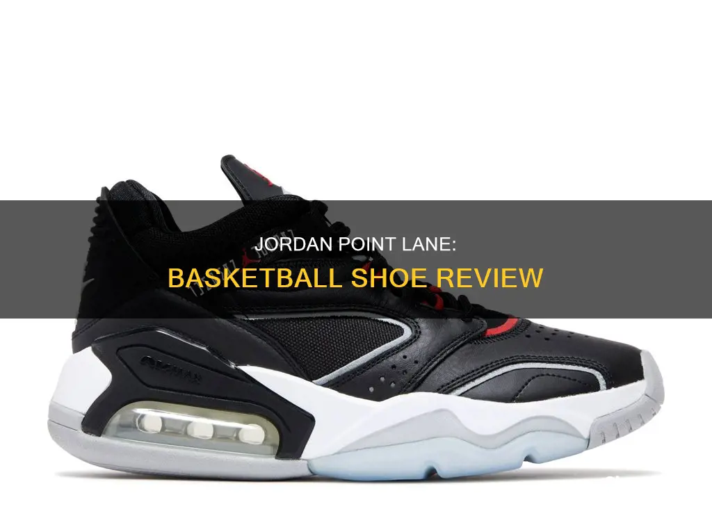 is jordan point lane a basketball shoe