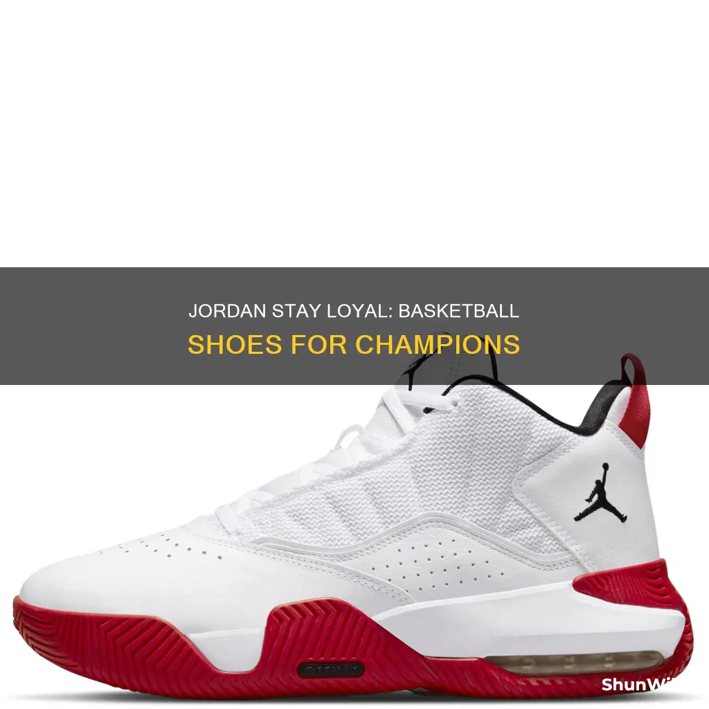 is jordan stay loyal basketball shoes