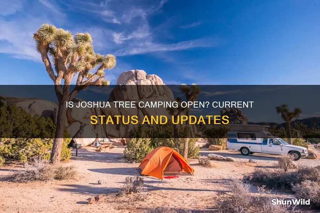 is joshua tree camping open
