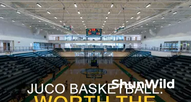 is juco basketball worth it
