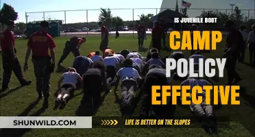Juvenile Boot Camps: Effective Reform or Ineffective Policy?