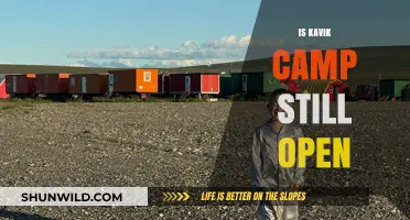 Is Kavik Camp Still Open? Current Status and Updates