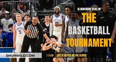 Kentucky's Basketball Tournament Run: Is It Over?