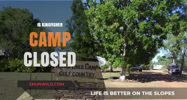 Is Kingfisher Camp Closed? Latest Updates and Status Revealed
