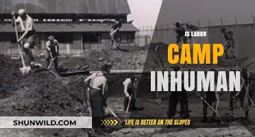 Labor Camps: Inhumane Conditions or Necessary Rehabilitation?