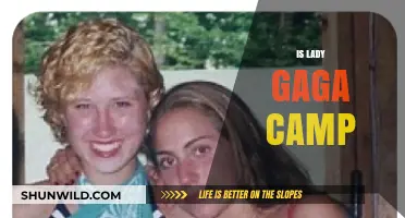 Lady Gaga's Extravagant Style: Unveiling the Camp Aesthetic