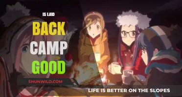 Is Laid-Back Camp Worth Watching? A Relaxing Anime Review