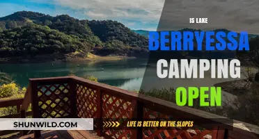 Is Lake Berryessa Camping Open? Current Status and Updates