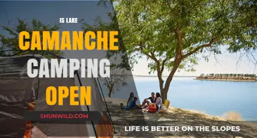 Is Lake Camanche Camping Open? Current Status and Updates
