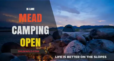 Is Lake Mead Camping Open? Current Status and Updates for Visitors