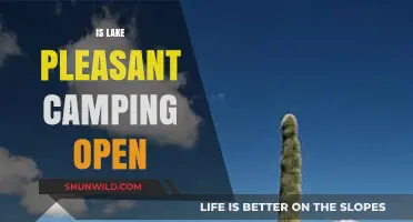 Is Lake Pleasant Camping Open? Your Guide to Current Status and Tips